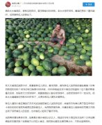 倆老太偷西瓜，被種瓜的抓住，種植人要求賠償